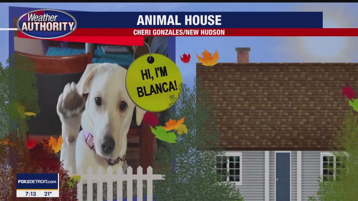 Meet Blanca